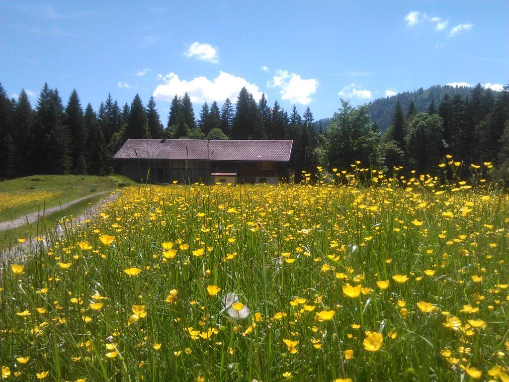 Appartamento Alpe Leckenholz Hittisau Esterno foto